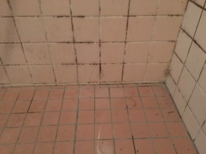 浴室のクリーニング前のタイル